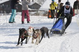 Lenk 2012 SM